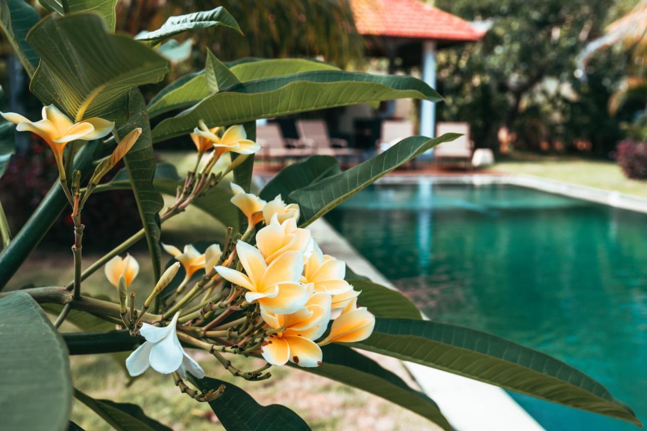 Bali Mynah Villas Resort 金巴兰 外观 照片